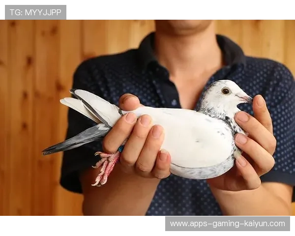 波尔多拟提高年轻人实战登场率以培养下一代核心 波尔多拟提高年轻人实战登场率以培养下一代核心