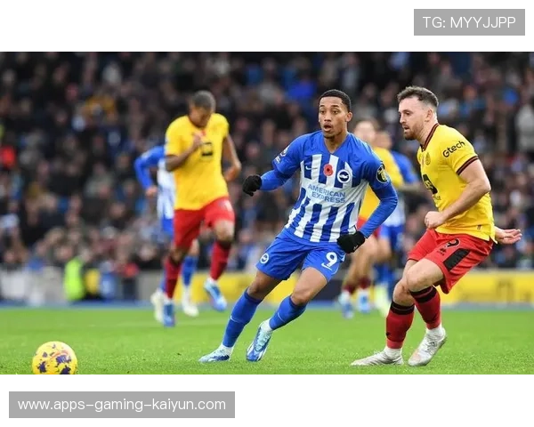 英超中场市场风云:诺丁汉中场成香饽饽 英超中场市场风云:诺丁汉中场成香饽饽